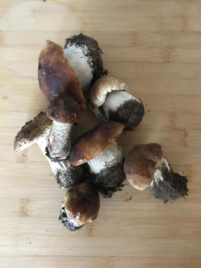 Mazurska Stodola Na Polwyspie Pilchowskim Pilchy Bagian luar foto